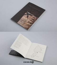 版式設(shè)計(jì)技巧 圖文組合在展覽展示服務(wù)中的要義