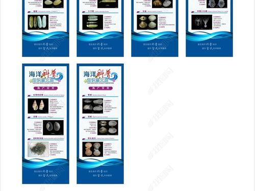 藍(lán)色海洋科普?qǐng)D文展易拉寶展架設(shè)計(jì) 探索海洋奧秘，守護(hù)蔚藍(lán)家園